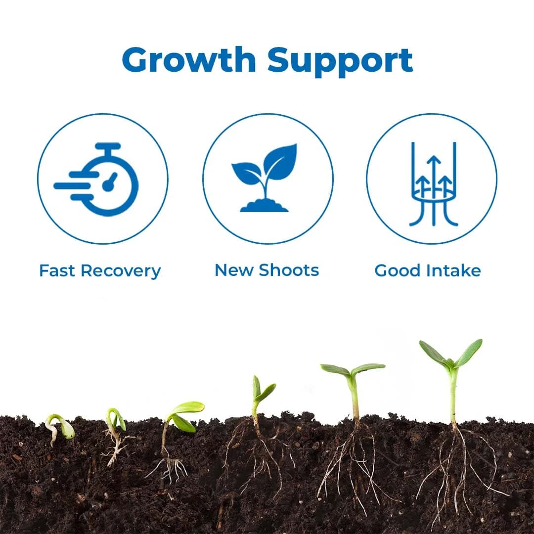 Anand Amino Acid Powder 80% - Image 3