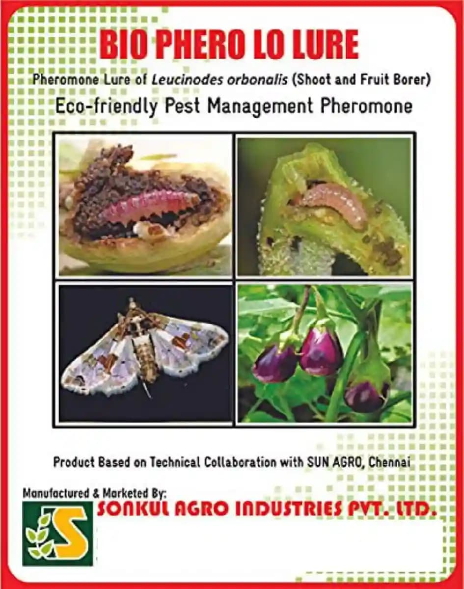 Sonkul Agro Industries Combo of BIO PHERO LO (Lucinodes Orbonalis) Lure & Delta Trap For Brinjal Fruit & Shoot Borer