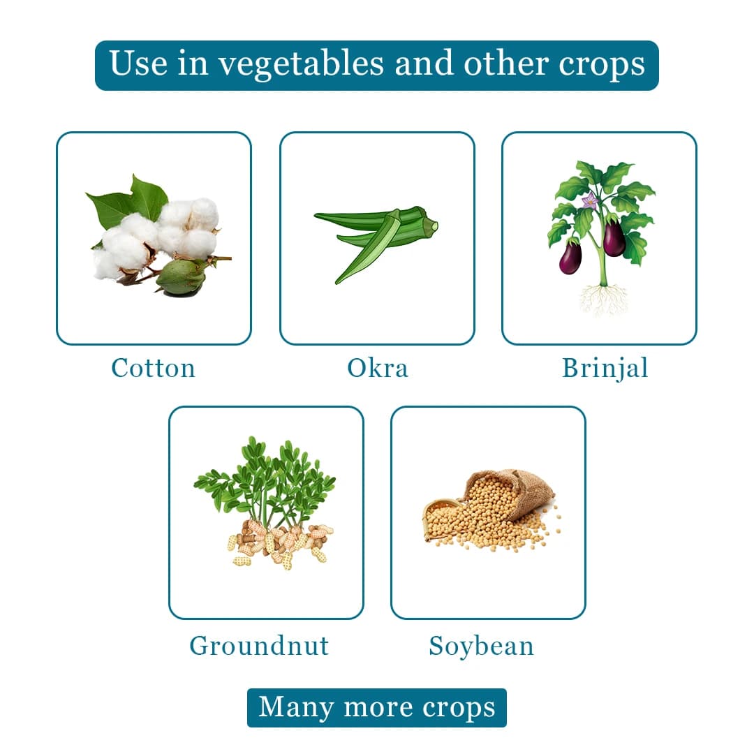 EBS Bacillus Thuringiensis Bio Larvicide, For All Plants And Home Garden, Ecofriendly, Effective Against All Lepidopteran Caterpillars - Image 4