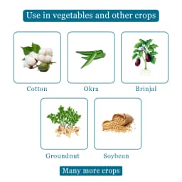 EBS Bacillus Thuringiensis Bio Larvicide, For All Plants And Home Garden, Ecofriendly, Effective Against All Lepidopteran Caterpillars 4