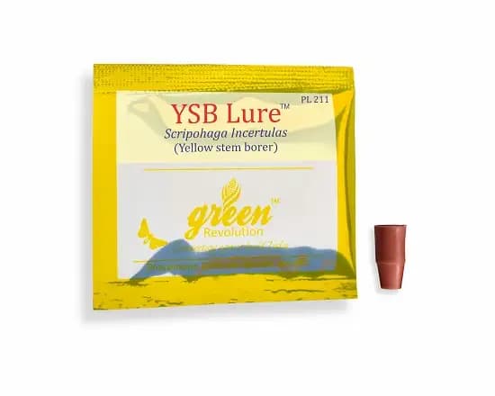 Funnel Trap With YSB Lure (Scirpophaga Incertulas) Yellow Stem Borer, Useful For Rice and Brinjal Fruit & Shoot Borer Moth. - Image 1