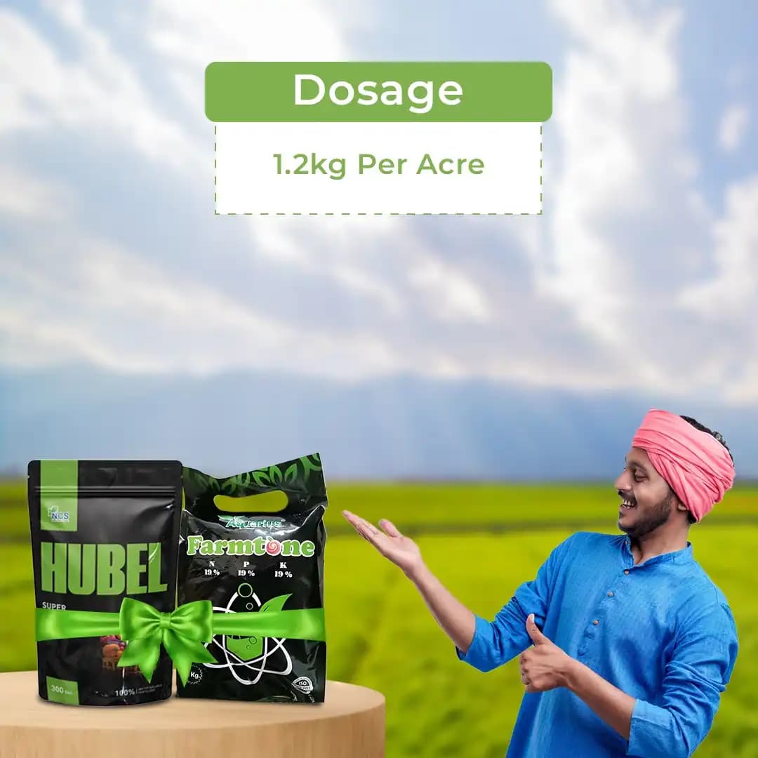 Growth and Development Combo (Farmtone NPK 19:19:19 3 Kg + HUBEL Humic Acid 98% 1.2 Kg) - Image 5