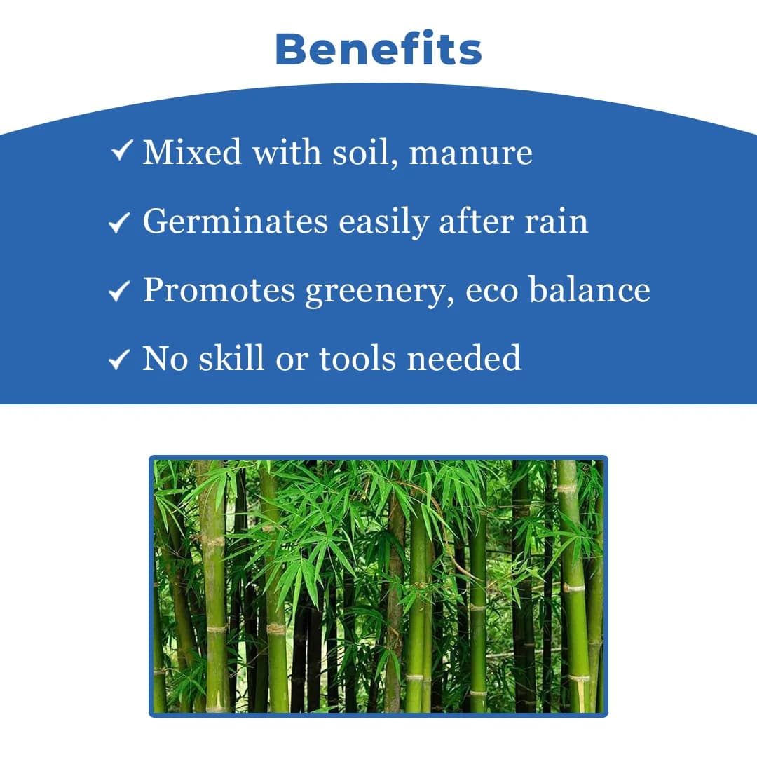 Seed Balls Just Throw & Grow (Bamboo or Mongil Seed Balls) Tree Seed Balls. Just throw on land or place in pot. - Image 4