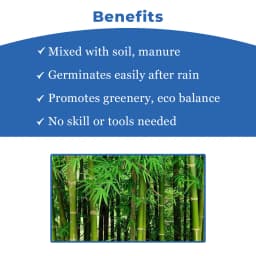 Seed Balls Just Throw & Grow (Bamboo or Mongil Seed Balls) Tree Seed Balls. Just throw on land or place in pot. 4