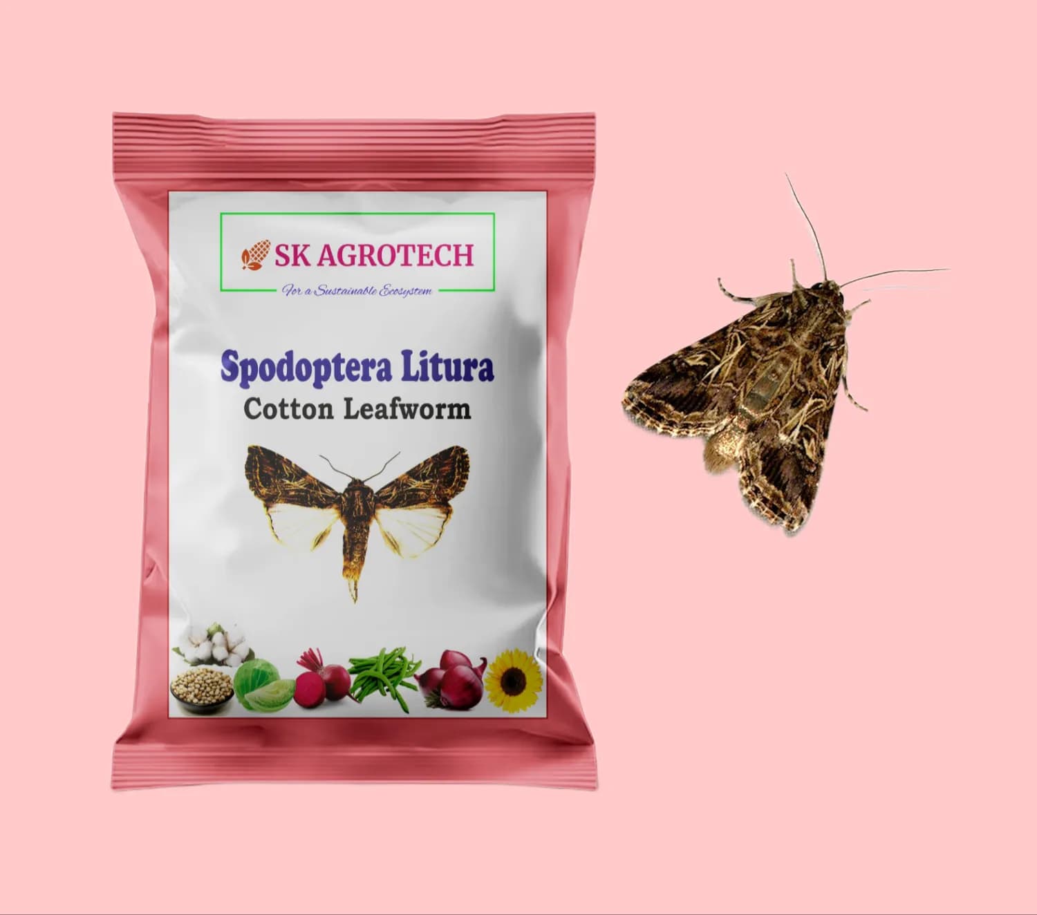 SK Agrotech Spodoptera Litura Cotton Leafworm Pheromone Trap With Lure - Effective Monitoring and Control - Image 5