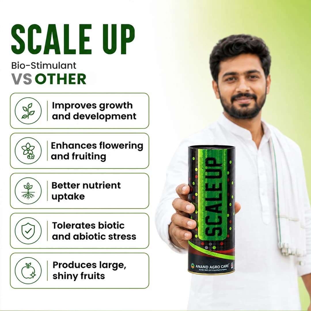 Anand Agro Scale Up - Brassinolide Plant Growth Regulator - Image 6