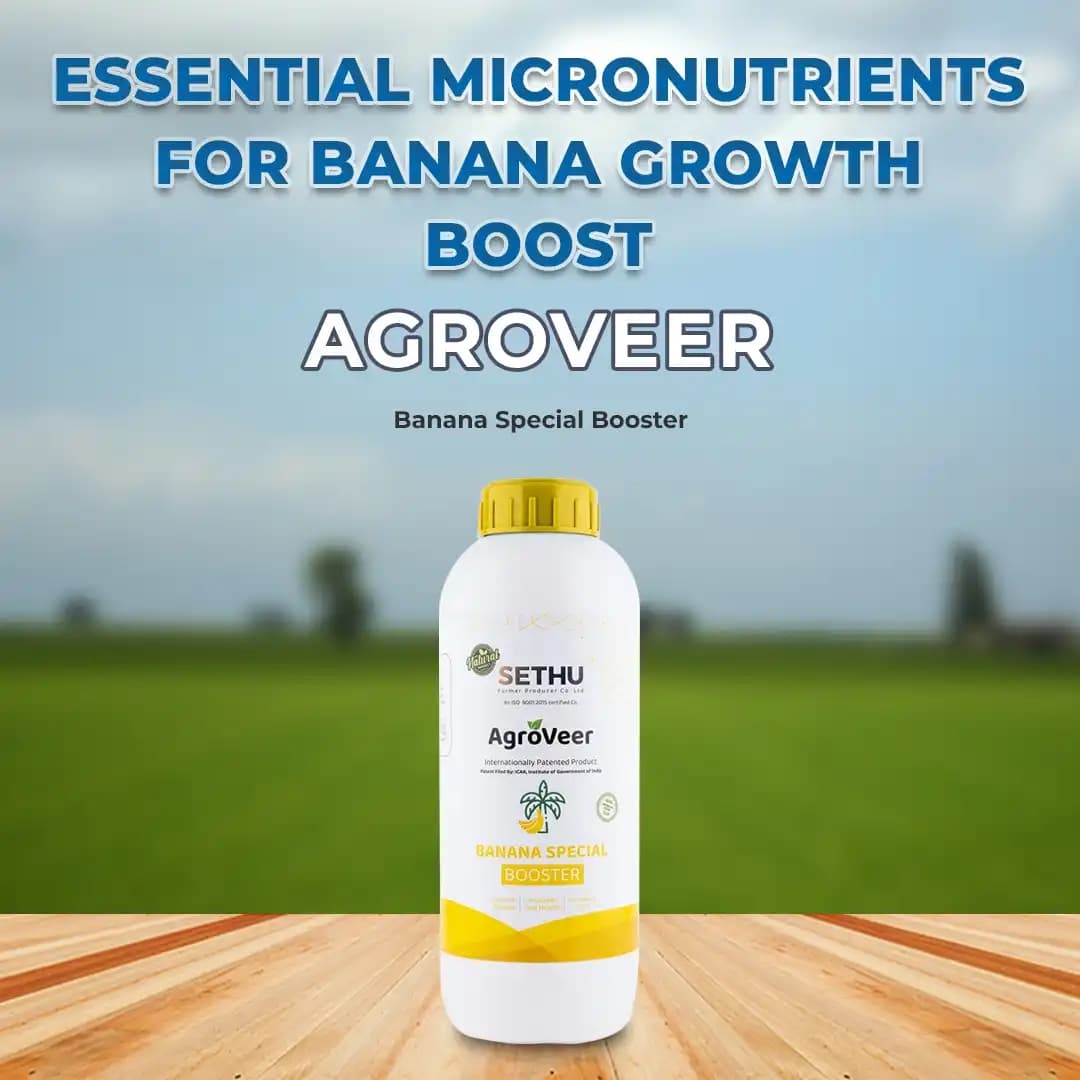 Agroveer Banana Special Fertilizer - Image 2