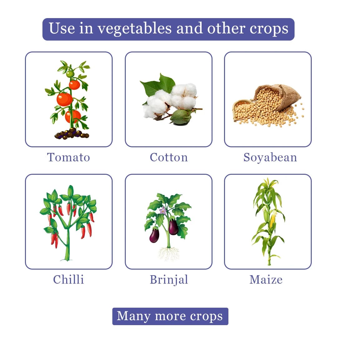Thiolt-70 Insecticide - Thiamethoxam 70% WS - Image 4