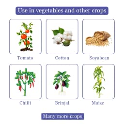 Thiolt-70 Insecticide - Thiamethoxam 70% WS 4