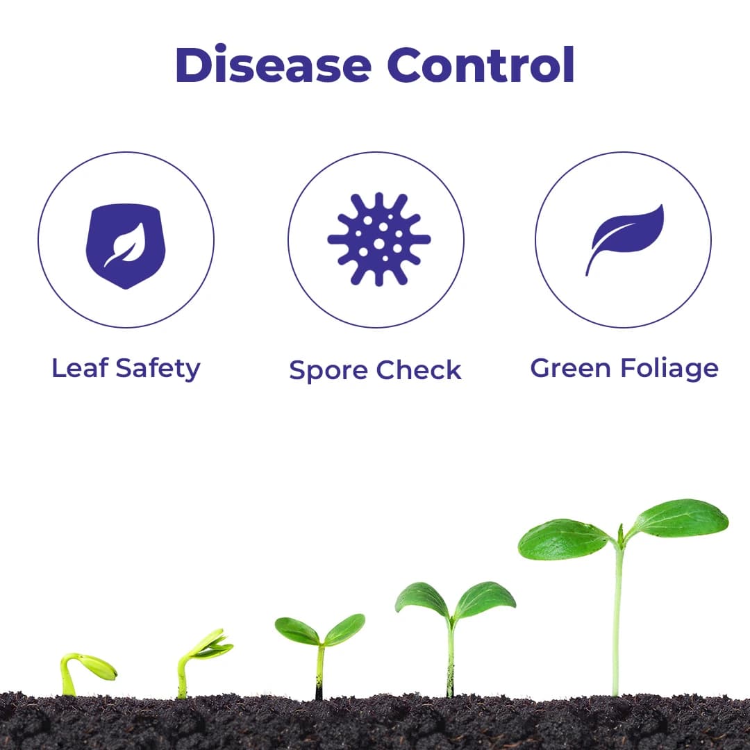 Exylon Mac-75 Fungicide - Mancozeb 75% WP - Image 3