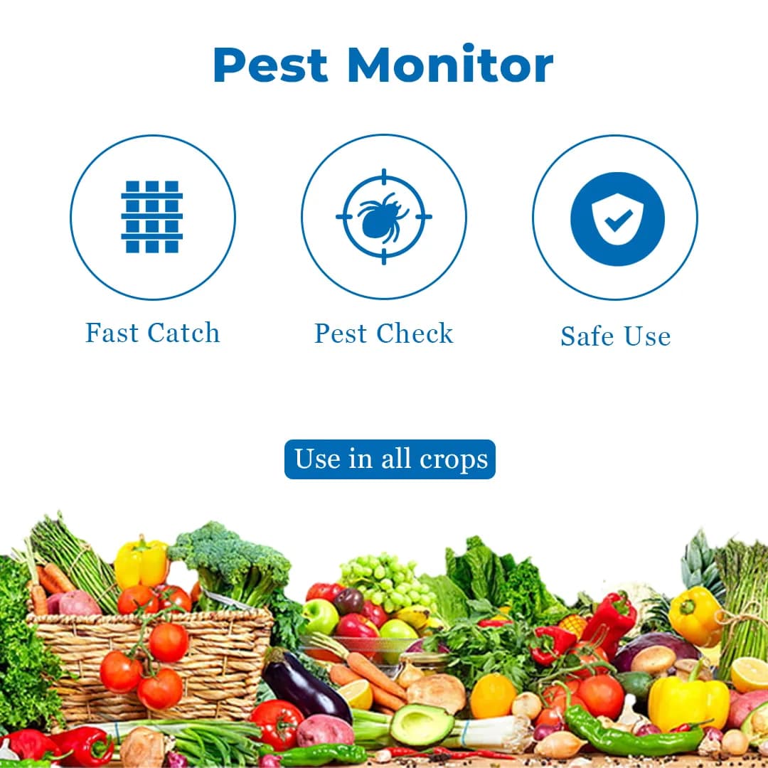 HEDO Eco A4 Size Blue Sticky Trap For Thrips, Aphids, Jassids & All Harmful Flying Insects, Best For Organic Vegetable And Fruits Farming Pest Control - Image 3