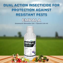 Empala Insecticide - Emamectin Benzoate 1.5% + Fipronil 3.5% SC 2