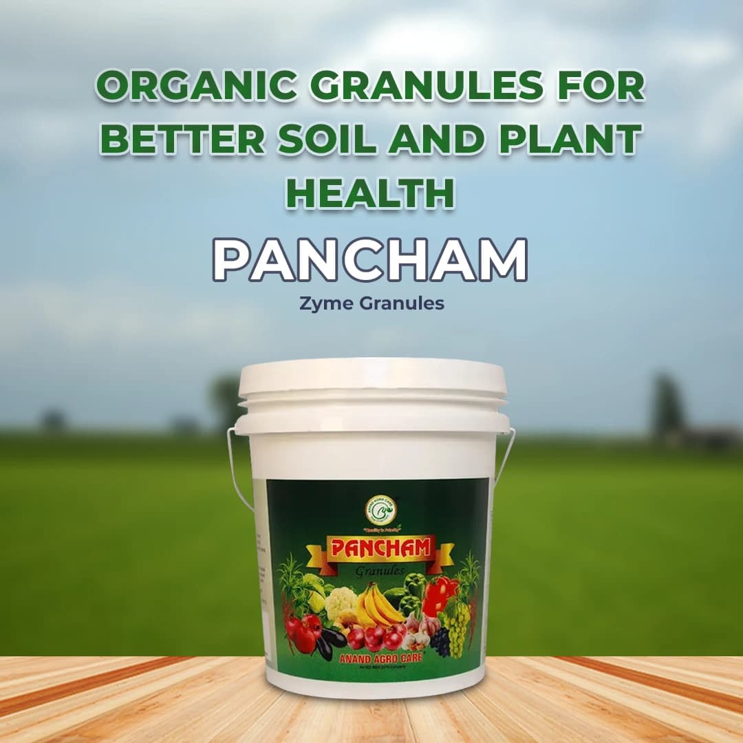Anand Pancham Granules (Zyme Granules), Unique Formulation to Increase Plant Growth and Yield, Enhances The Root And Shoot Development - Image 2