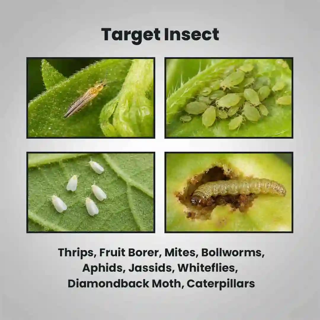 Empala Insecticide - Emamectin Benzoate 1.5% + Fipronil 3.5% SC - Image 4