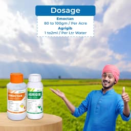 AgriBegri Combo Pack (Emoctan 250gm + Agrigib 500ml) Powerful Combination, Complete Crop Protection and Growth Solution 5