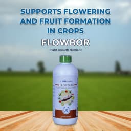 TATA Rallis Flowbor Plant Growth Nutrient, Boron Containing Boron Ethanolamine, Completely Soluble in Water 2