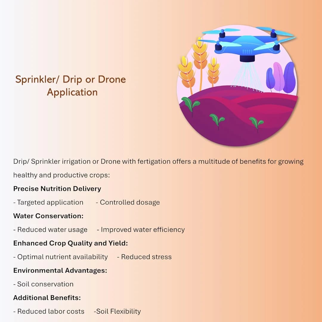 GACIL Multi-Micronutrient Liquid Fertilizer, Plant Growth, Essential Trace Elements For Gardens, Lawns And Greenhouses - Image 3