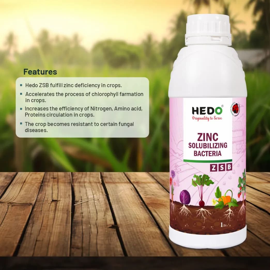 HEDO Zinc Solubilizing Bacteria (ZSB) Liquid Bio Fertilizer, For All Plants, Agricultural & Garden, Helps to Improves Soil Fertility - Image 3