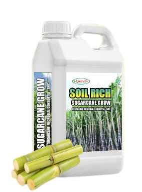 Amruth Sugarcane Grow Sugarcane Microbial Consortia (SMC), Sugarcane Special, For Plant Growth and Development - Image 1