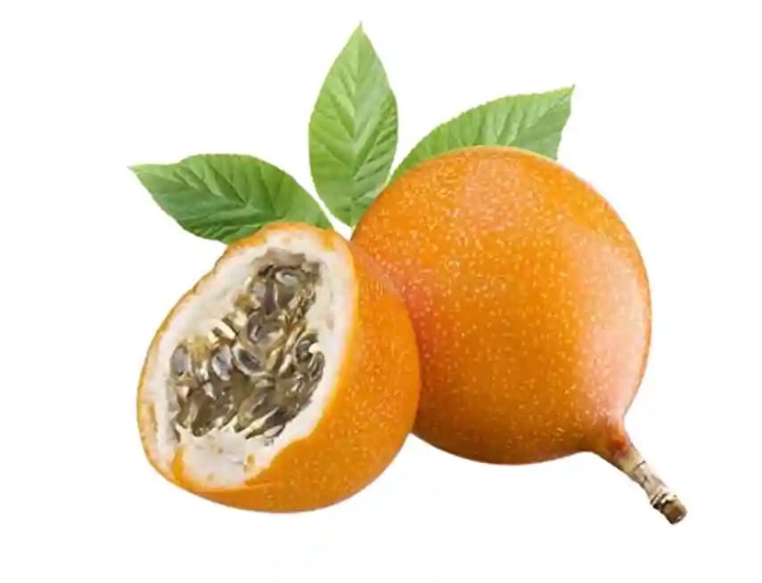 Pioneer Agro Industry Passion Fruit Tree Seed enhance the beauty of garden, landscapes, commercial crops, etc. - Image 3