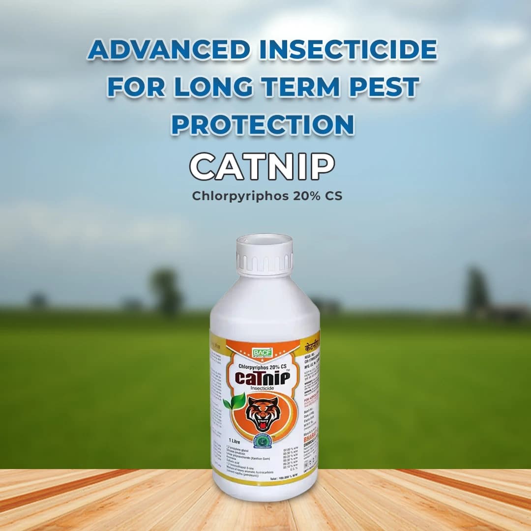 Bacf CaTnip Insecticide - Chlorpyriphos 20% CS - Image 2