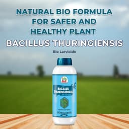 EBS Bacillus Thuringiensis Bio Larvicide, For All Plants And Home Garden, Ecofriendly, Effective Against All Lepidopteran Caterpillars 2