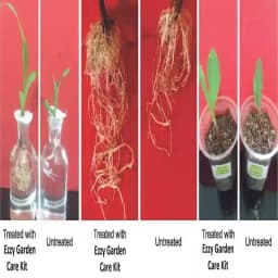 Ezzy Garden Care Kit for 50 Plants 100% ORGANIC Plant fertilizer with Humic Acid,Seaweed and Fulvic Acid,Neem extract pesticide and Moringa extract 4