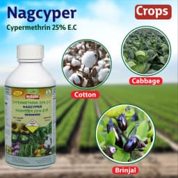 Multiplex Nagcyper Cypermethrin 25% EC Insecticide, Effective Pest Control in Bollworm, Diamond Back Moth, Fruit Borer, Shoot Borer, Early Shoot Borer 2
