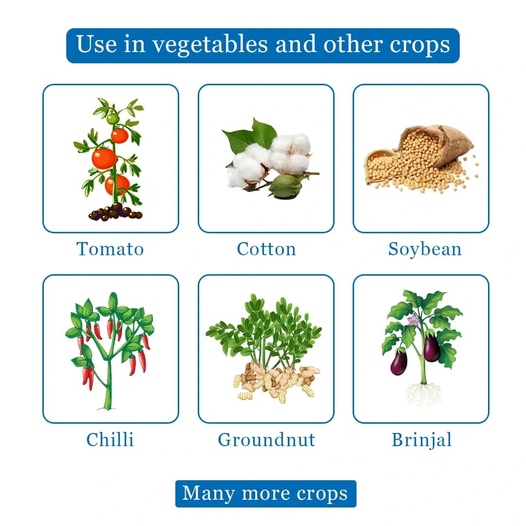 Control TRM - Thrips, Red Mites, Mealy Bug (Sucking Pest Controller), Residue Free - Image 4
