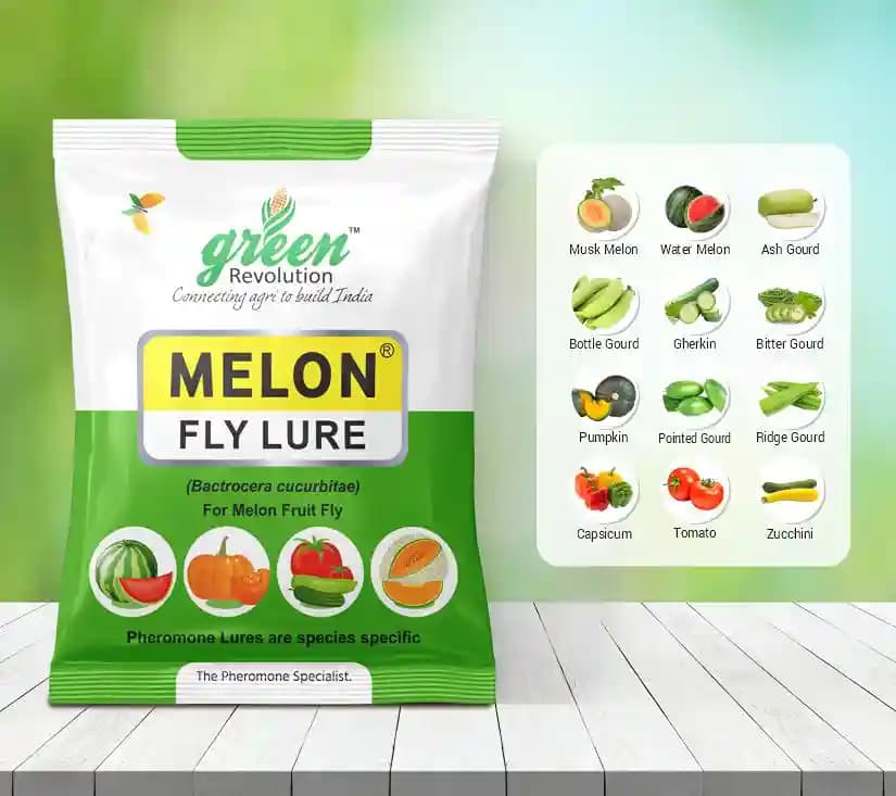 Maxplus Trap With Melon Fly Lure, For Controlling Bactrocera Cucurbitae, For Water Melon, Musk Melon, Cucumber, Bottle Gourd, Pumpkin, all Vegetables - Image 7