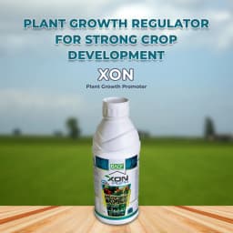 BACF Xon Plant Growth Promoter with NPK Bacteria, PGPR, Sea weed, Humic, Fermentation media with Contact and systemic action 2