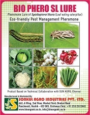 కాంబో ప్యాక్ - BIO PHERO SL స్పోడోప్టెరా లిటురా ల్యూర్ (ఆకు తినే గొంగళి పురుగు) & ఫన్నెల్ ట్రాప్