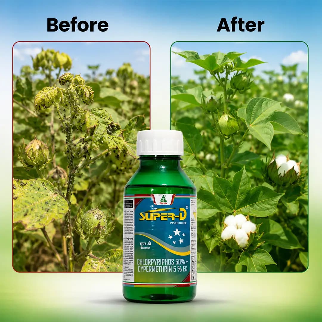 Dhanuka Super-D Insecticide - Image 6