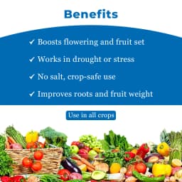 Aries FertiMax HD NPK 00:00:50 Potassium Sulphate Fertilizer, Excels In Providing Nutrients At Extremely Low Dosage 4