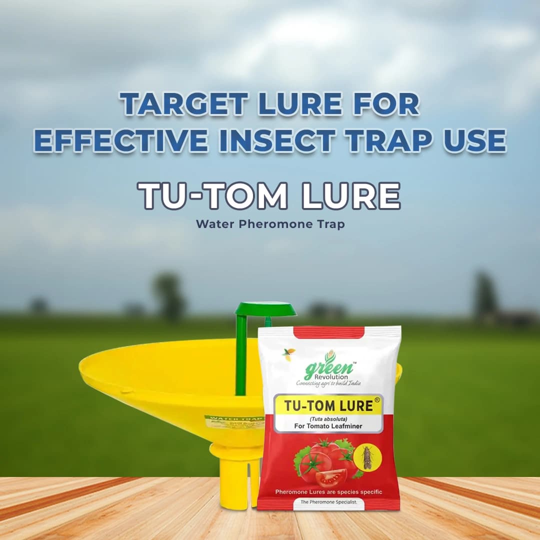 Water Pheromone Trap With TU-TOM Pheromone Lure (Tuta Absoluta ,Tomato Leafminer) for Tomato, Cherry Tomato, and Potato. - Image 2