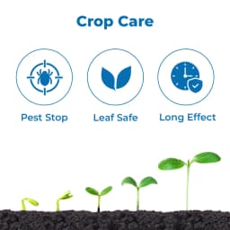 Suraksha Kit For Thrips And Mites Control at Flowering Stage 45-80 Days (F-Zone 250 ML + Alpha Bio 250 ML + Flower Magic 250 ML + NB 80 250 ML) 3