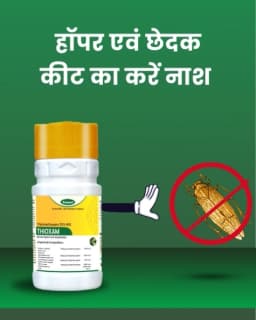 Katyayani Thioxam Thiamethoxam 25%WG Insecticide for Plants and Home Garden control for Sucking Pests Leaf Folder Paddy Whitefly Thrips In Rice Cotton 2