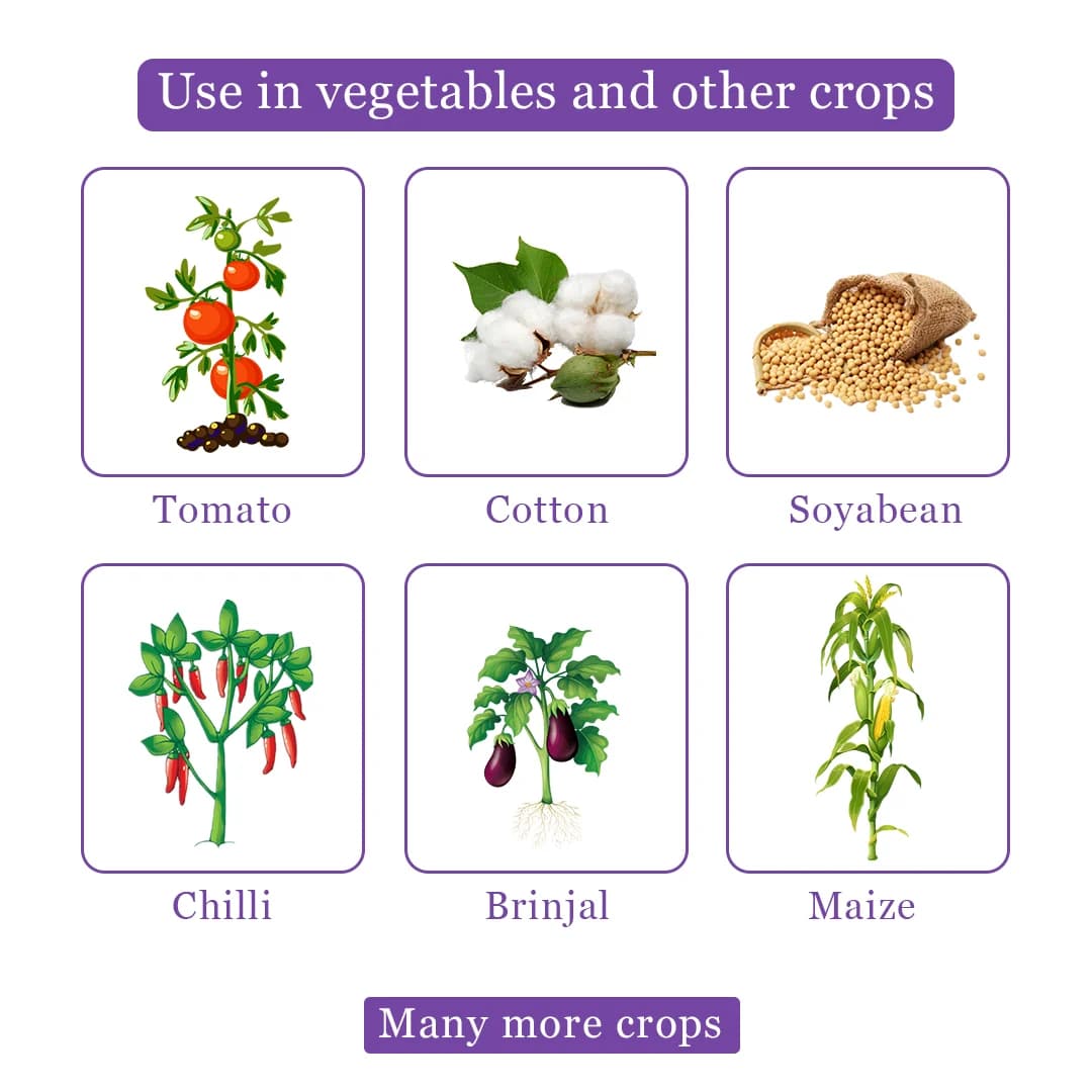Clorentis Insecticide - Chlorantraniliprole 18.5% SC - Image 4