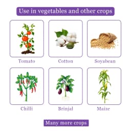 Clorentis Insecticide - Chlorantraniliprole 18.5% SC 4