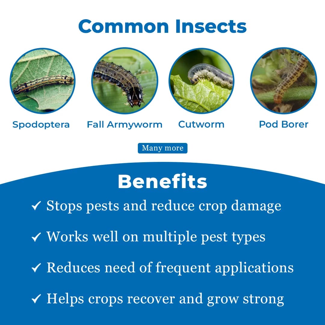 SML Vamos Insecticide - Image 3