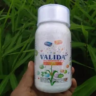 Sumitomo Valida Fungicide - Image 4