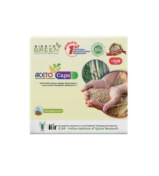 Siesto Green Aceto Capsules. It contains a Nitrogen fixing Bacteria known as Gluconacetobacter diazotrophicus.