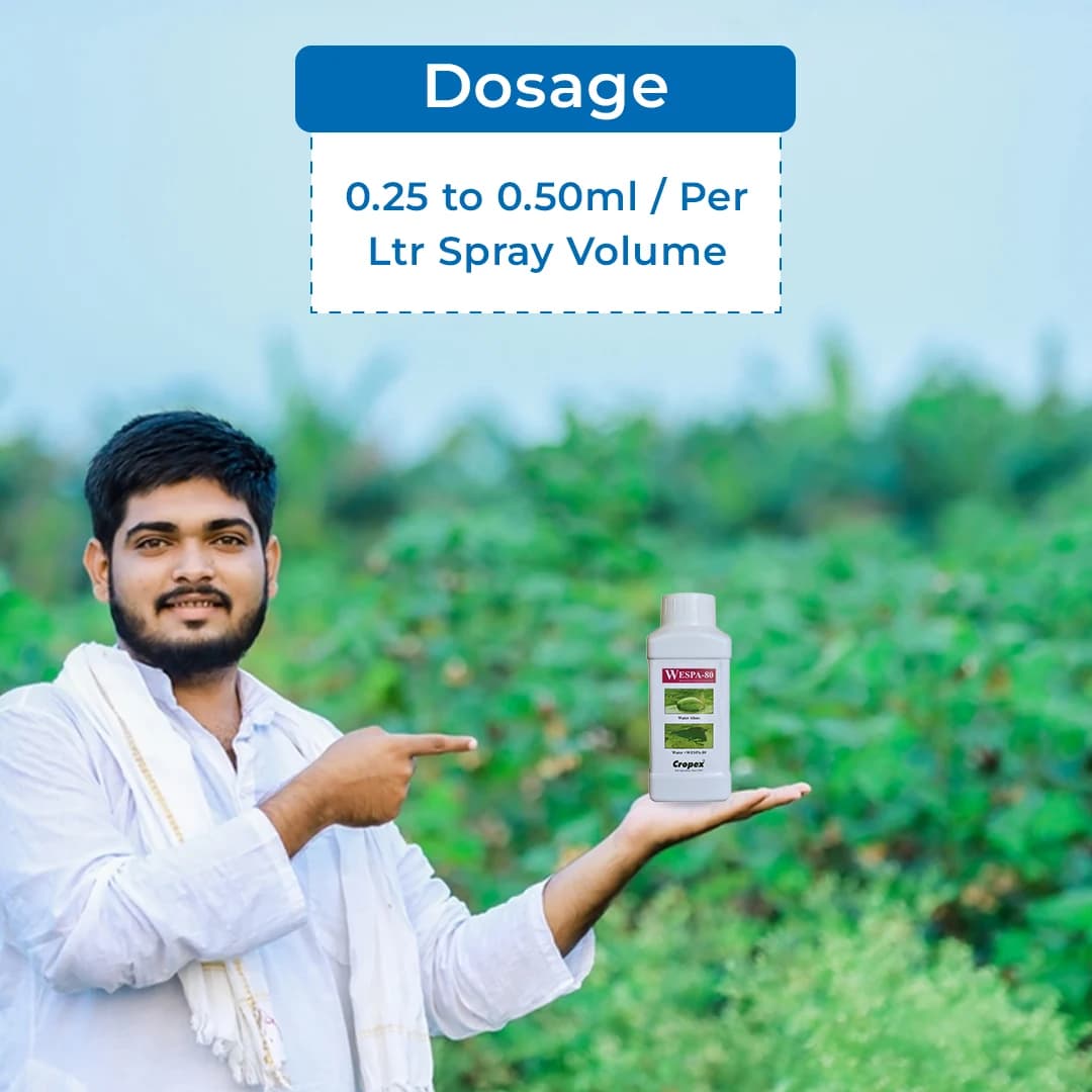 WESPA-80 Wetting and Spreading Agent, Unique Silicon-based All Purpose Agricultural Spray Adjuvant - Image 4
