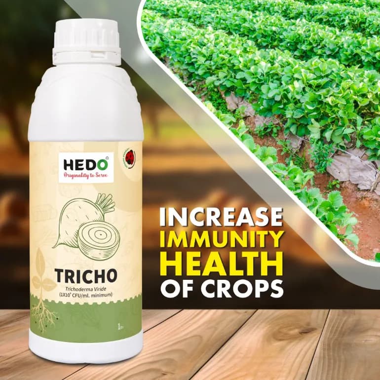 HEDO Tricho Trichoderma Viride Liquid Bio-Organic, For Agriculture, Garden & All Crops To Control All Fungal Disease & Seed Germination - Image 4