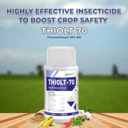 Thiolt-70 Insecticide - Thiamethoxam 70% WS 2