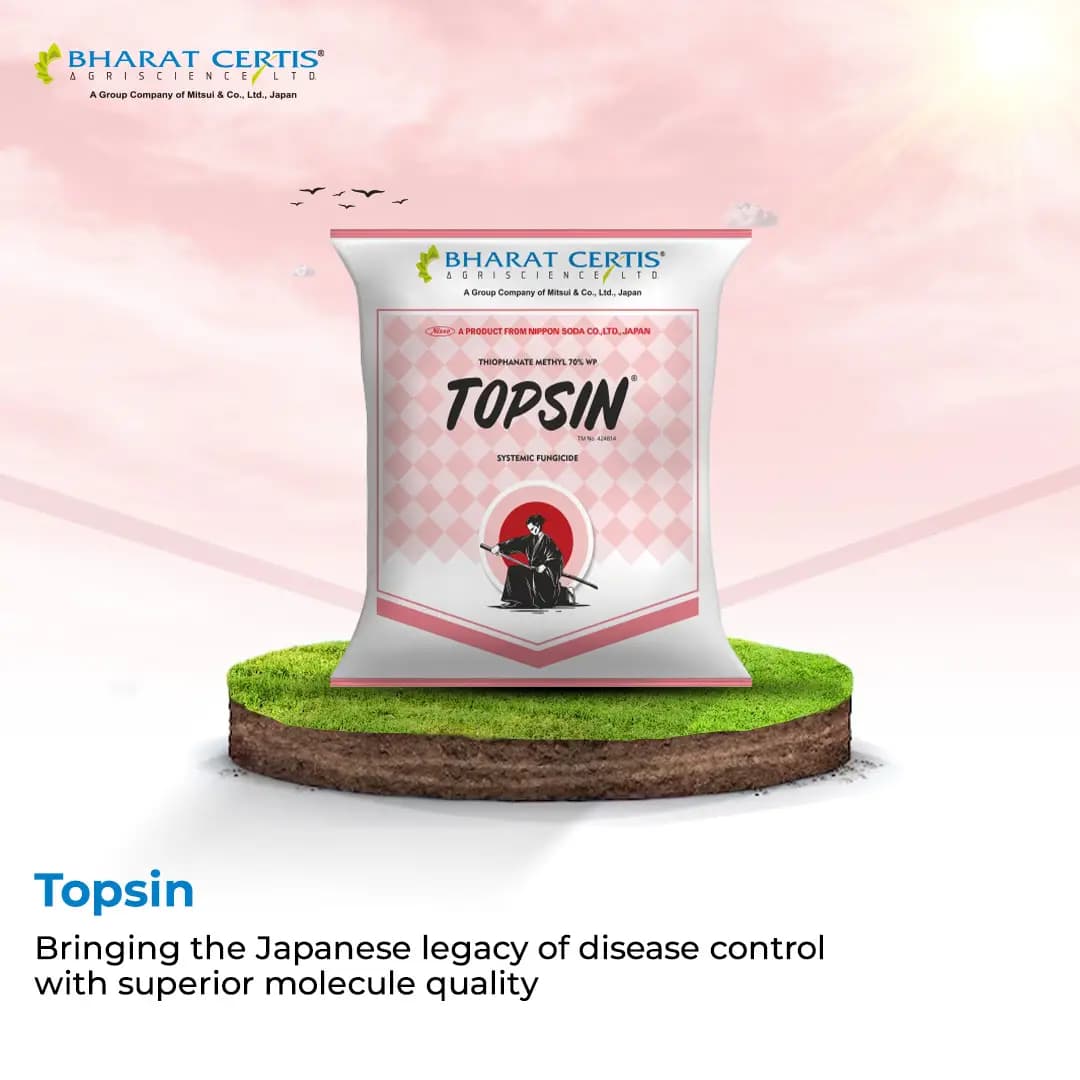 Bharat Certis Topsin Fungicide - Broad-Spectrum Systemic Fungal Diseases Control - Image 4