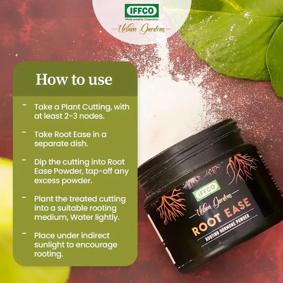 IFFCO Urban Garden Root Ease Rooting Hormone Powder, Fast Root Growth For Plant Cuttings And Grafting - Image 6