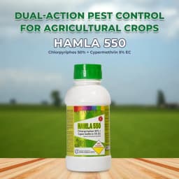 Gharda Hamla 550 Chlorpyriphos 50% + Cypermethrin 5% EC Insecticide, Systemic and Contact Action 2