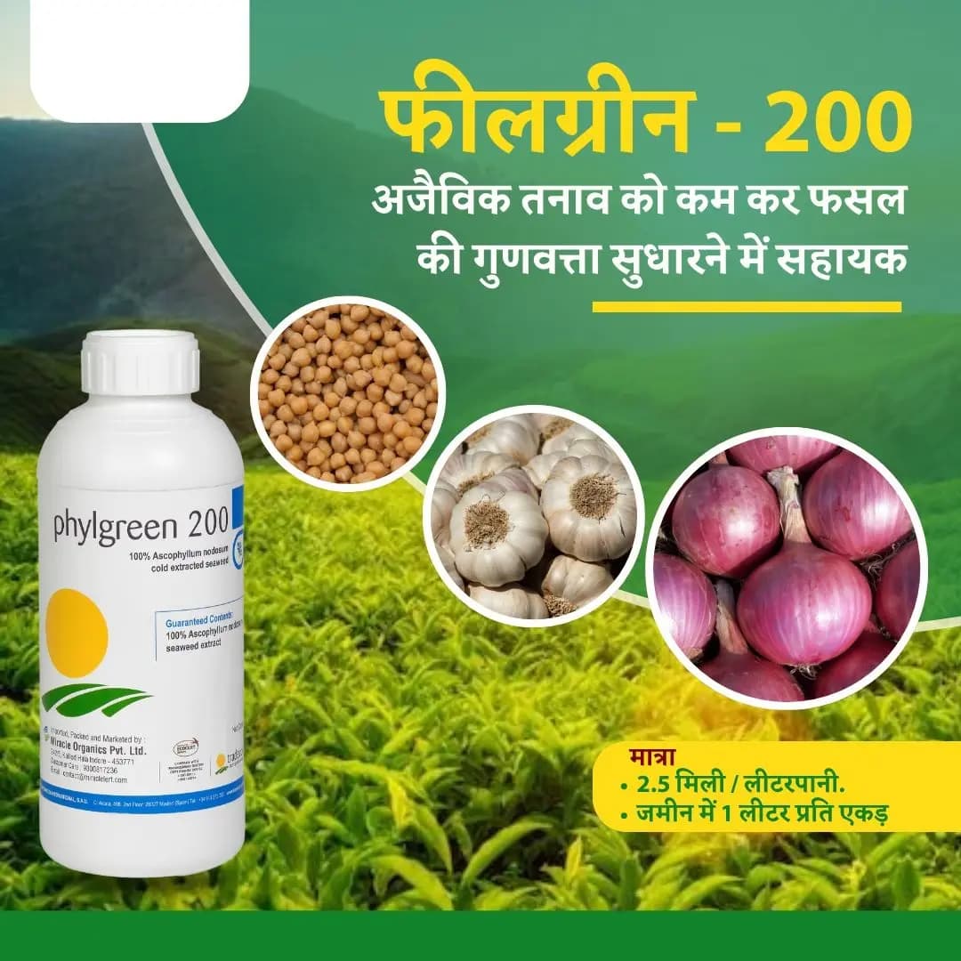 Tradecorp Phylgreen 200 Ascophyllum Nodosum Seaweed Extract, Bio-Stimulant, Plant Growth And Yield Boost - Image 2