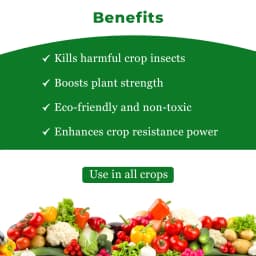 Dr. Anand Neem, 3000 PPM Neem Oil, Use To Improve Resistance In Plants , Useful For all Crops Plain Neem oil 4